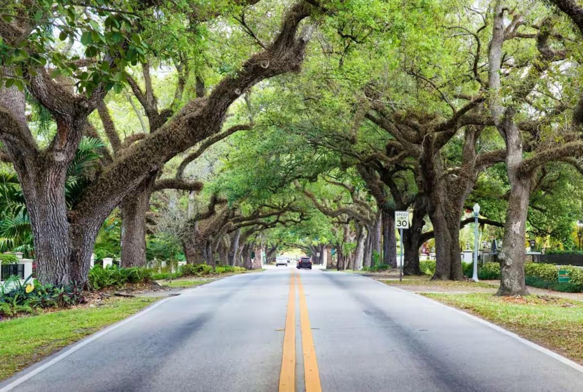 Casa Coral Otel Coral Gables Dış mekan fotoğraf